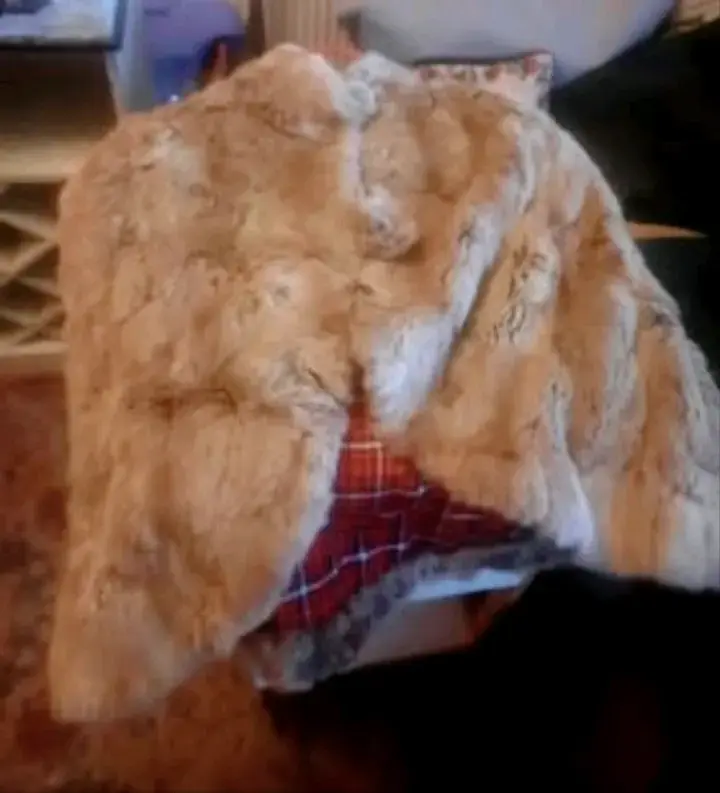 Capa de piel de conejo con gorro - 3