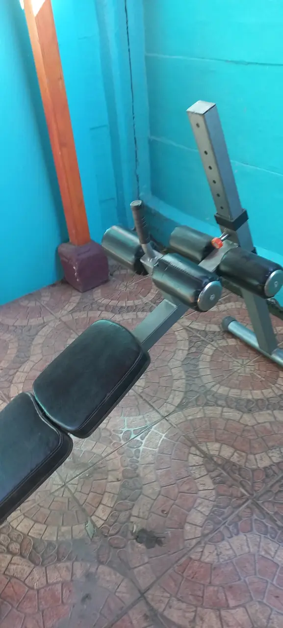 Banca ajustable para abdominales promachine - 1