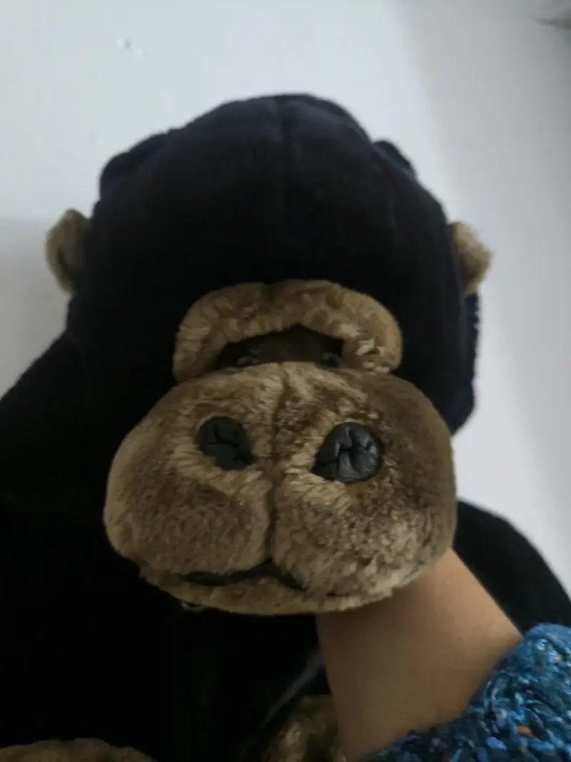 Disfraz de Gorila 🦍 😍 para niño en felpa suave - 1