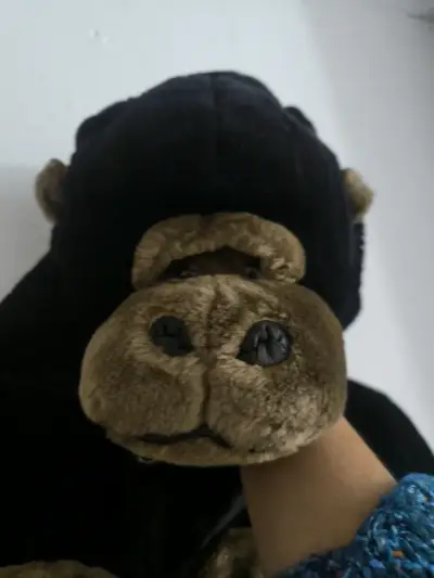 Disfraz de Gorila 🦍 😍 para niño en felpa suave - miniatura 1