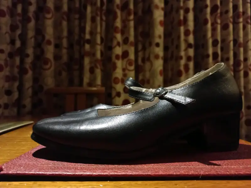 Zapatos de huasa - 2