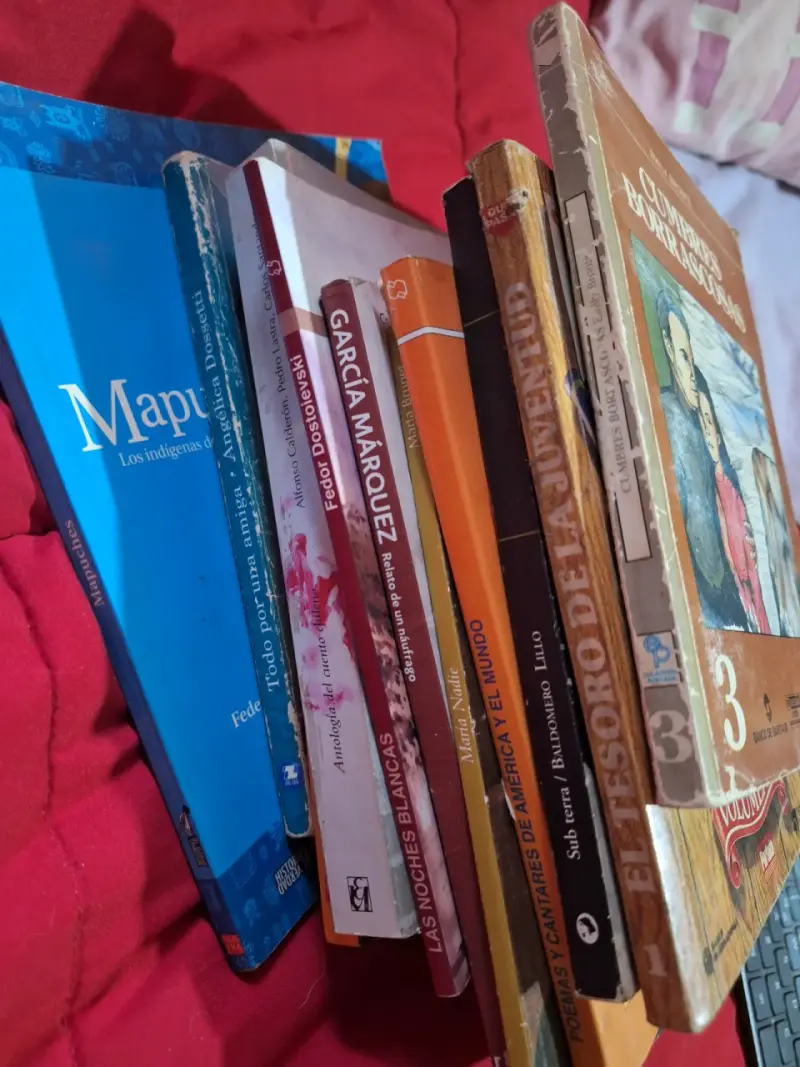 Lote de 11 libros variados de literatura clásica - 1
