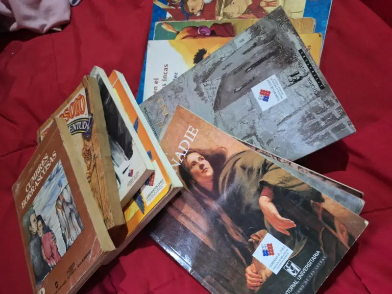 Lote de 11 libros variados de literatura clásica - 2