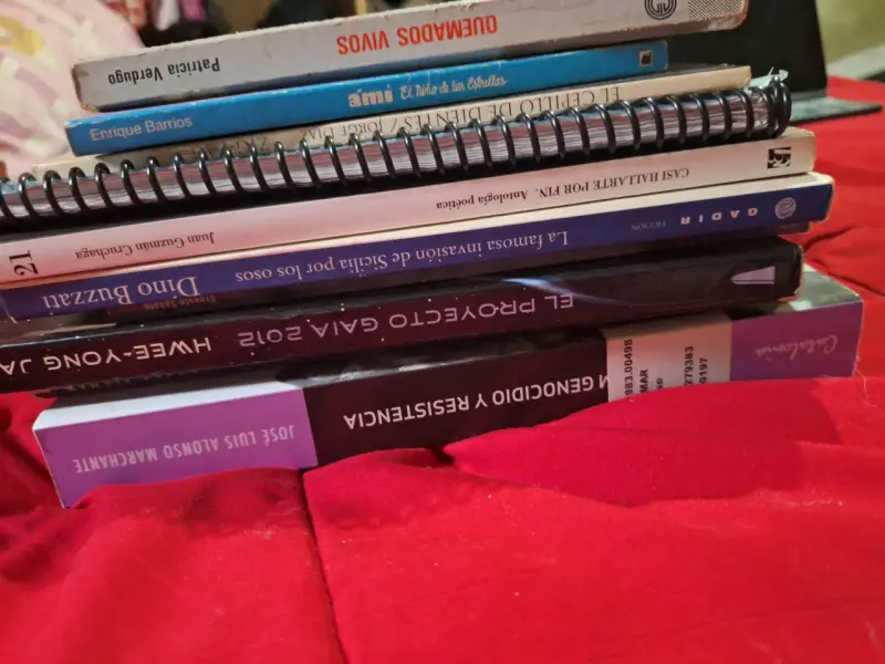 Lote de libros variados en buen estado - 1