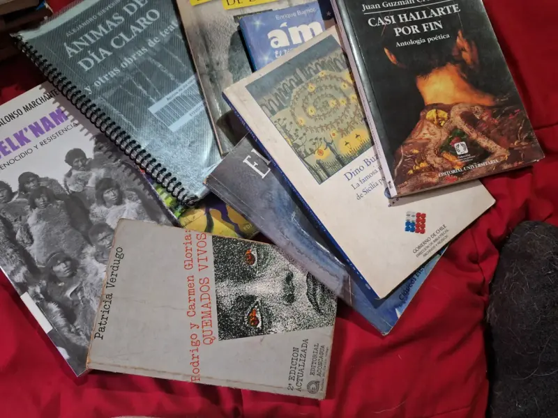 Lote de libros variados en buen estado - 2
