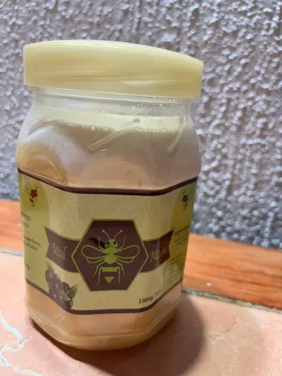 Miel Artesanal con sabor  1 kilo - miniatura 1