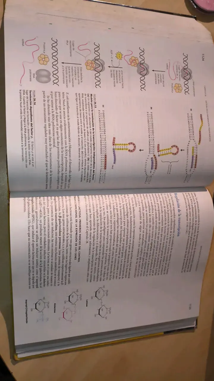 Libro Bioquímica 3ª Edición - 5