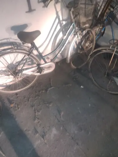Bicicleta urbana Oxford con canasto - miniatura 1