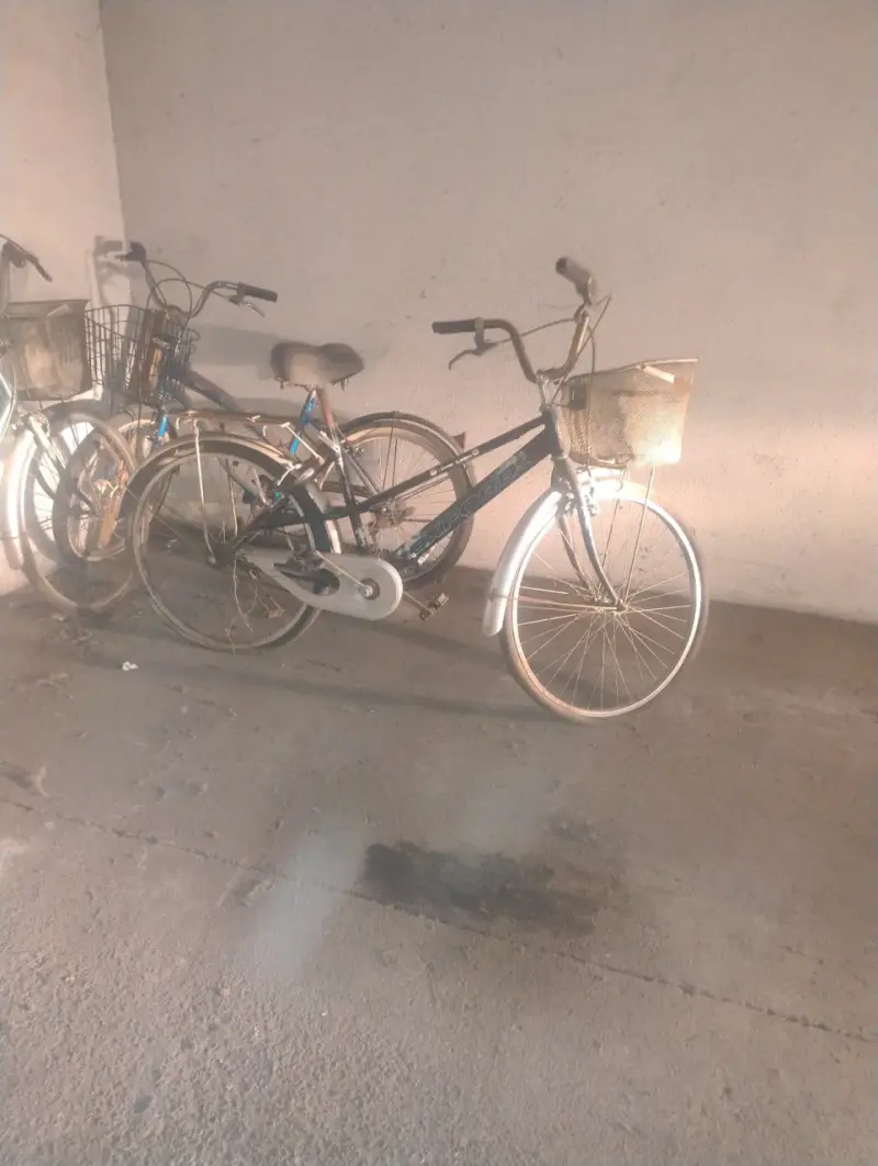 Bicicleta urbana Oxford con canasto - 2