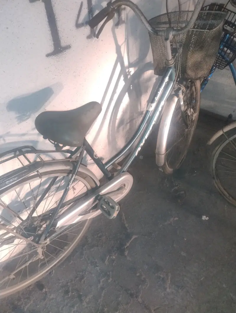 Bicicleta urbana Oxford con canasto - 5