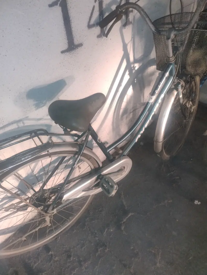 Bicicleta urbana Oxford con canasto - 6
