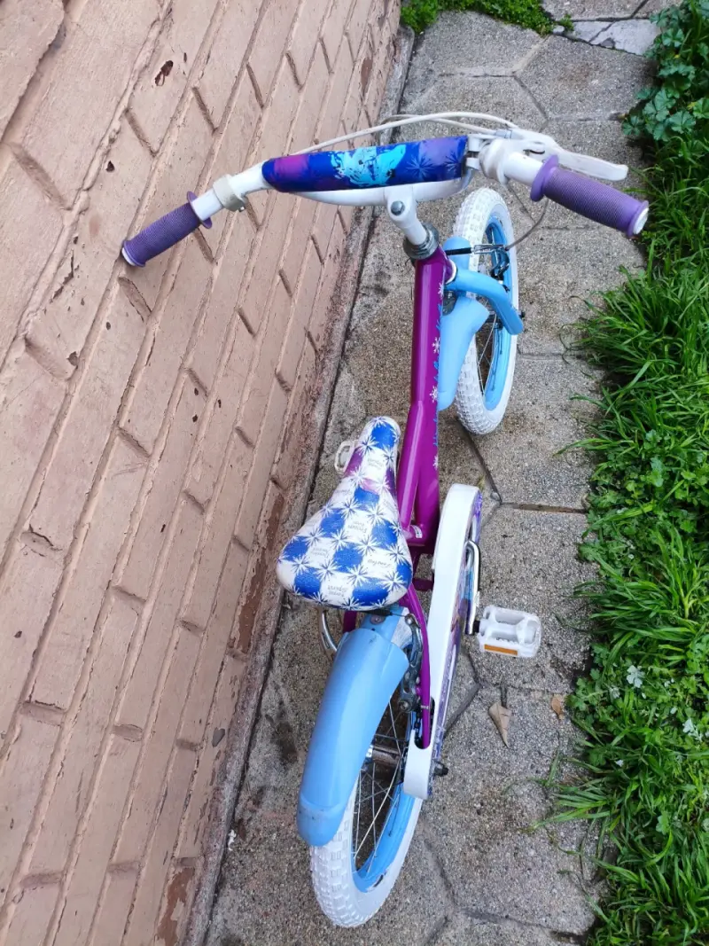 Bicicleta infantil Frozen aro 16 - Taller biciclet - 3