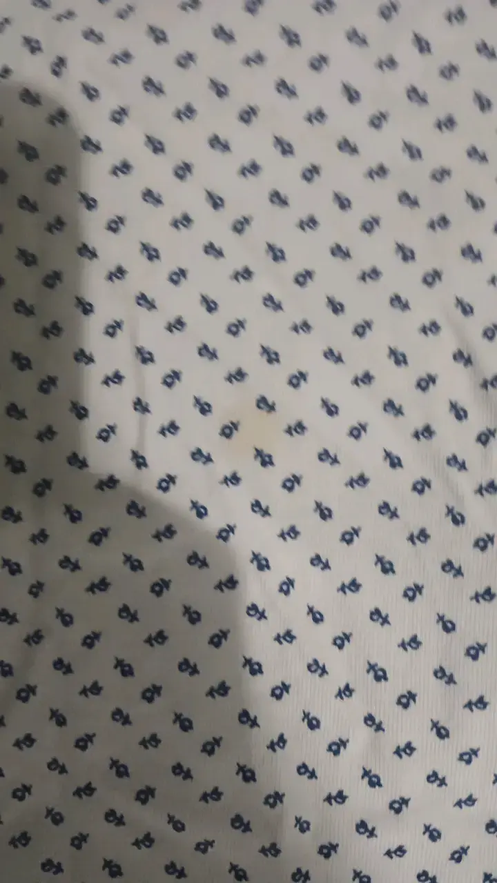 Polera Cacharel de algodón premium estampada - 3