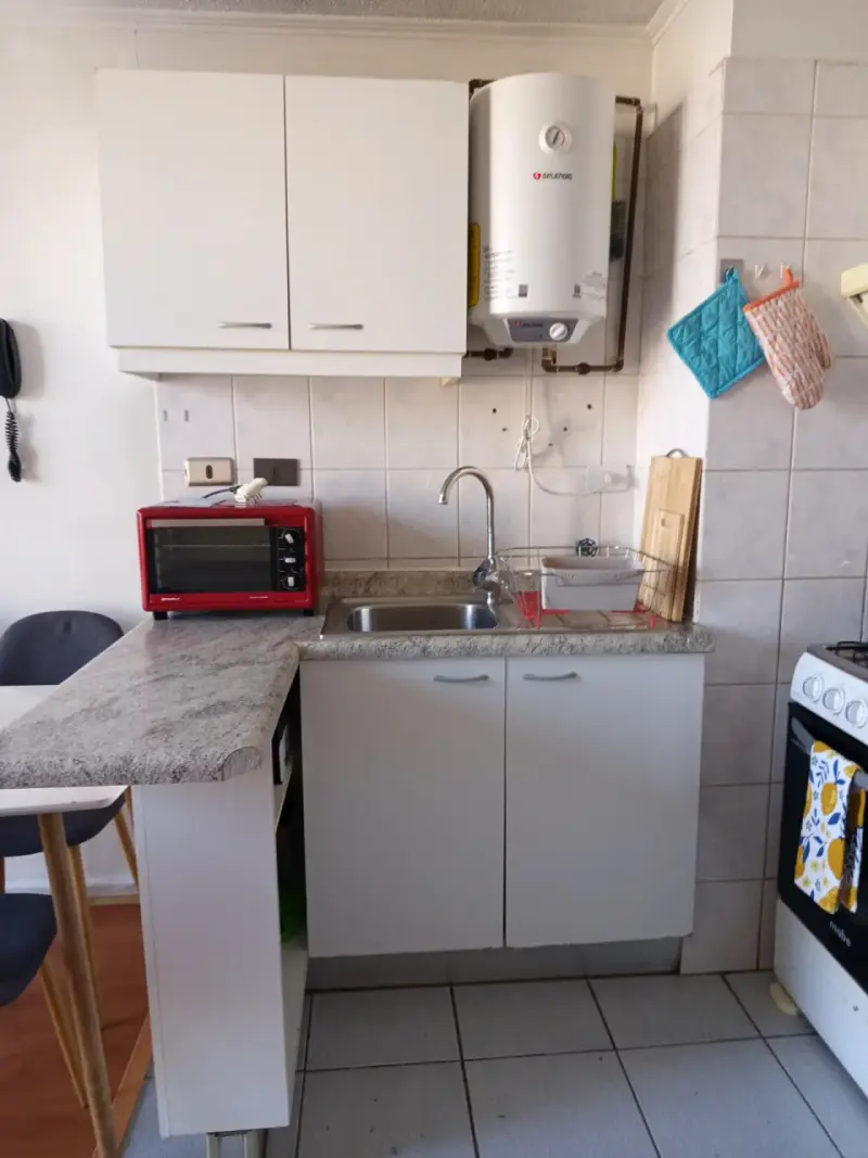 Arriendo Departamento Amoblado - 2