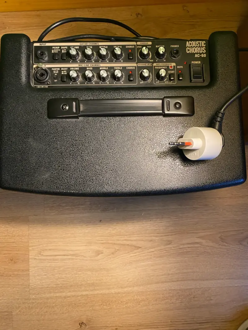 Amplificador Roland AC-60 con funda de transporte - 3