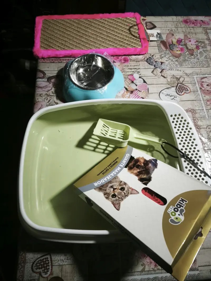 Kit de accesorios para gato con bandeja y rascador