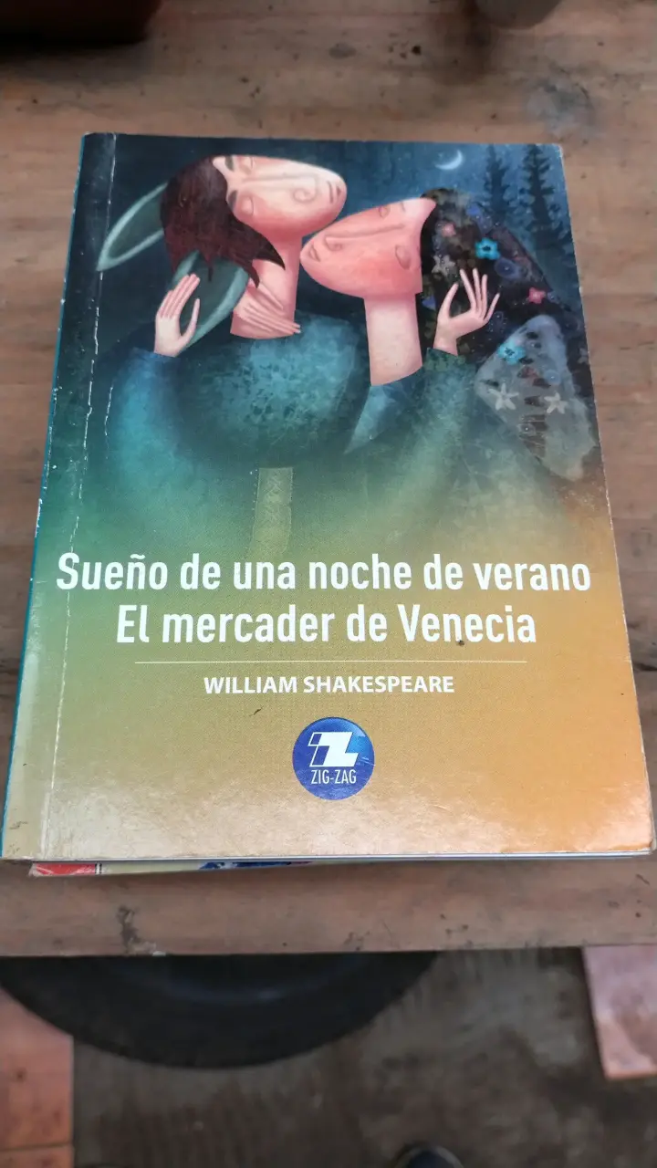 Libro 'El Ladrón de Mentiras' de Roberto Santiago - 2