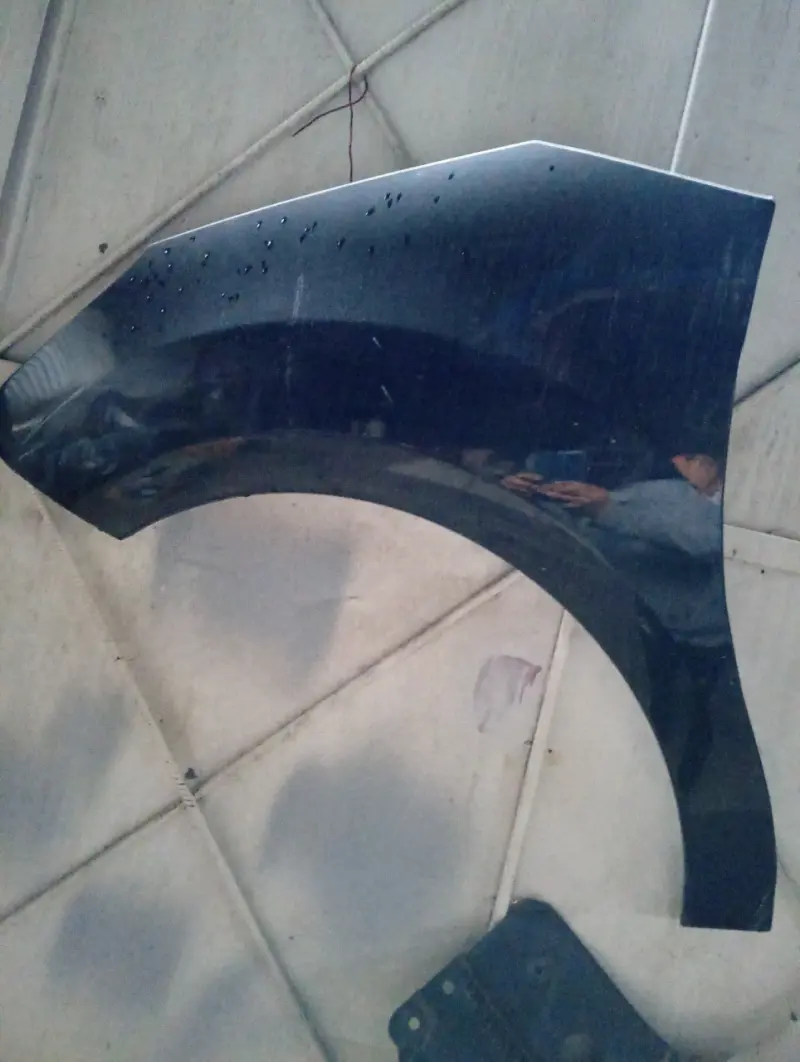 Guardabarros delantero izquierdo CITROEN C3 - 1
