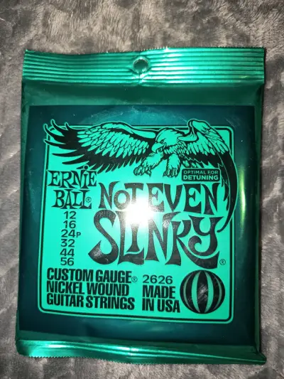 Cuerdas para guitarra Ernie Ball Not Even Slinky - miniatura 1