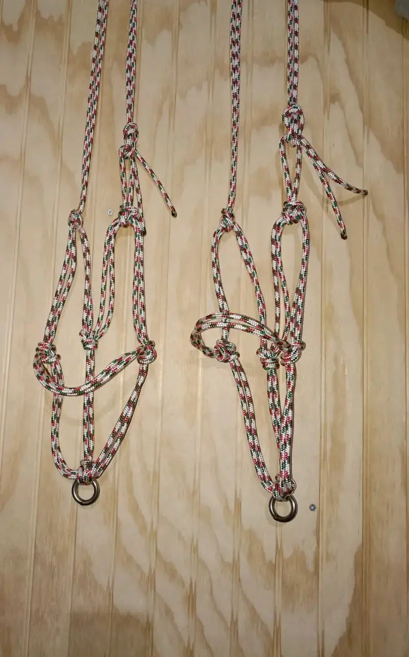 Jaquimas artesanales para caballos - 1