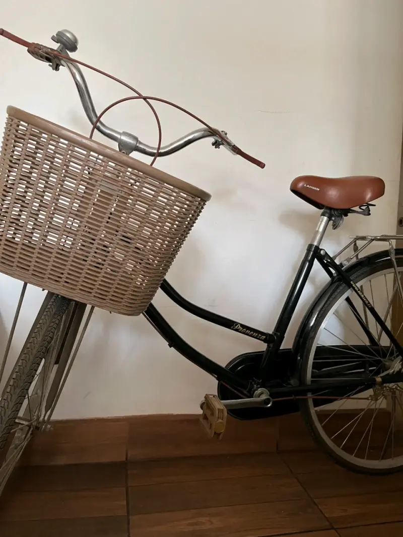 Bicicleta Lahsen Provenza Negra con Canasto - 1