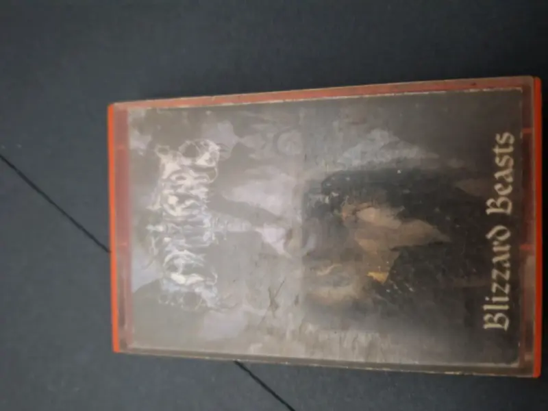 Cassette Blizzard Beasts de Immortal - 1