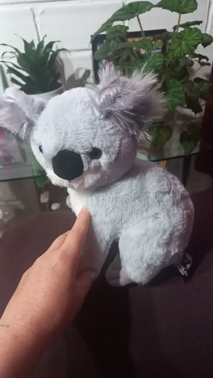 Peluche de koala suave y tierno - 1