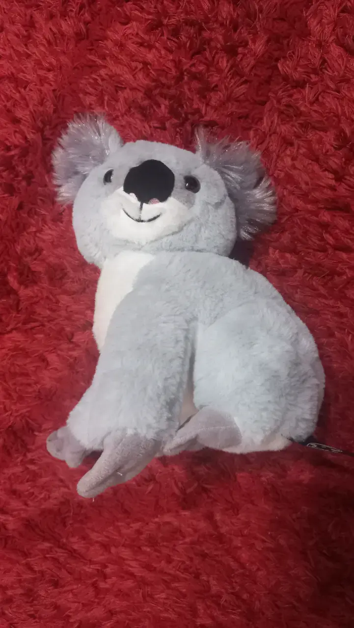 Peluche de koala suave y tierno - 3