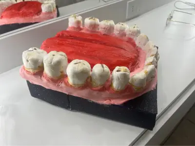 Maqueta de Dientes fenicios - miniatura 2