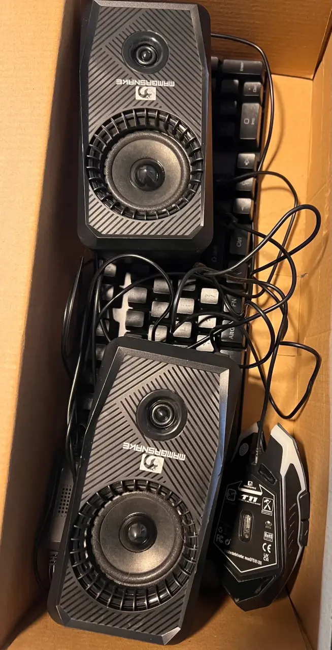 Set de parlantes y mouse Mambasnake T11