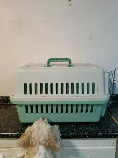 Transportadora de mascotas mediana verde y blanca - miniatura 3