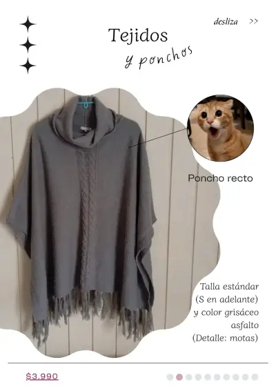 Suéters y Ponchos (Intactos) - miniatura 4
