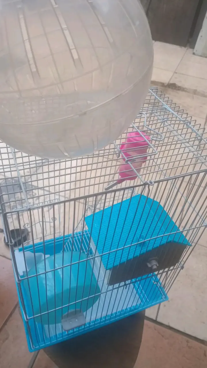 Jaula para hámster con accesorios - 1