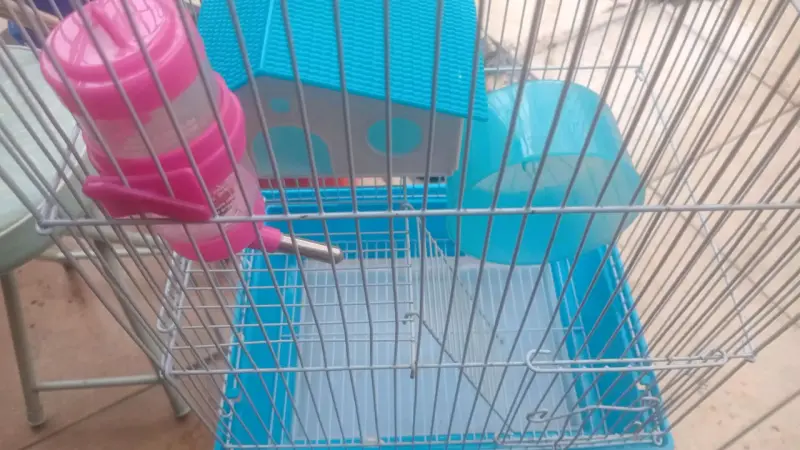 Jaula para hámster con accesorios - 2