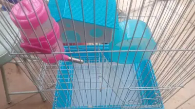 Jaula para hámster con accesorios - miniatura 2