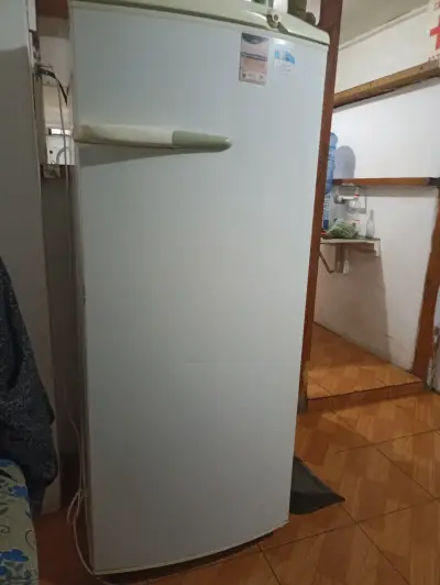 Refrigerador vertical blanco en buen estado - miniatura 1