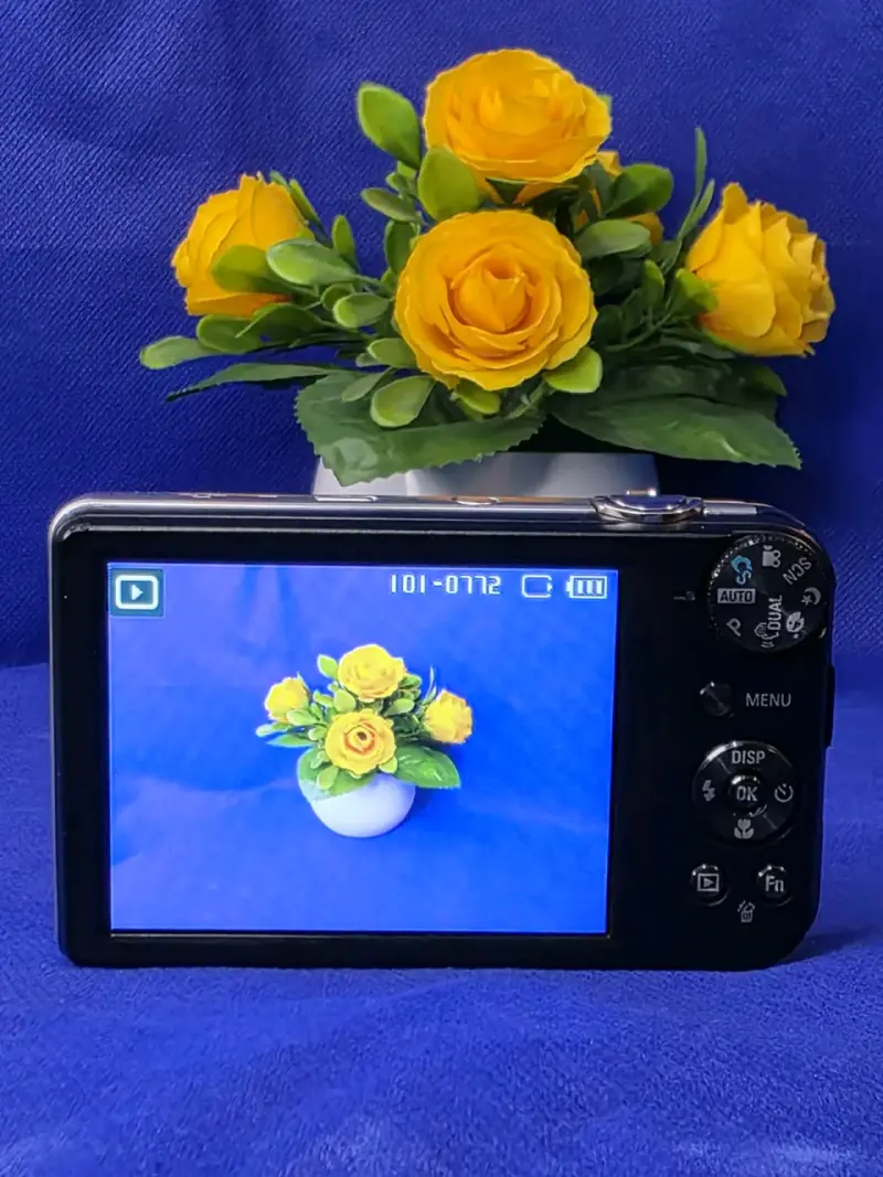 Cámara digital Samsung PL170 con Display frontal - 4