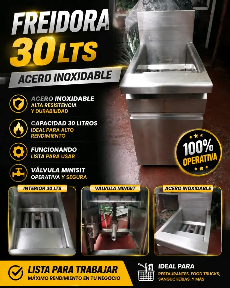 Freidora industrial 30 litros acero inoxidable - 1