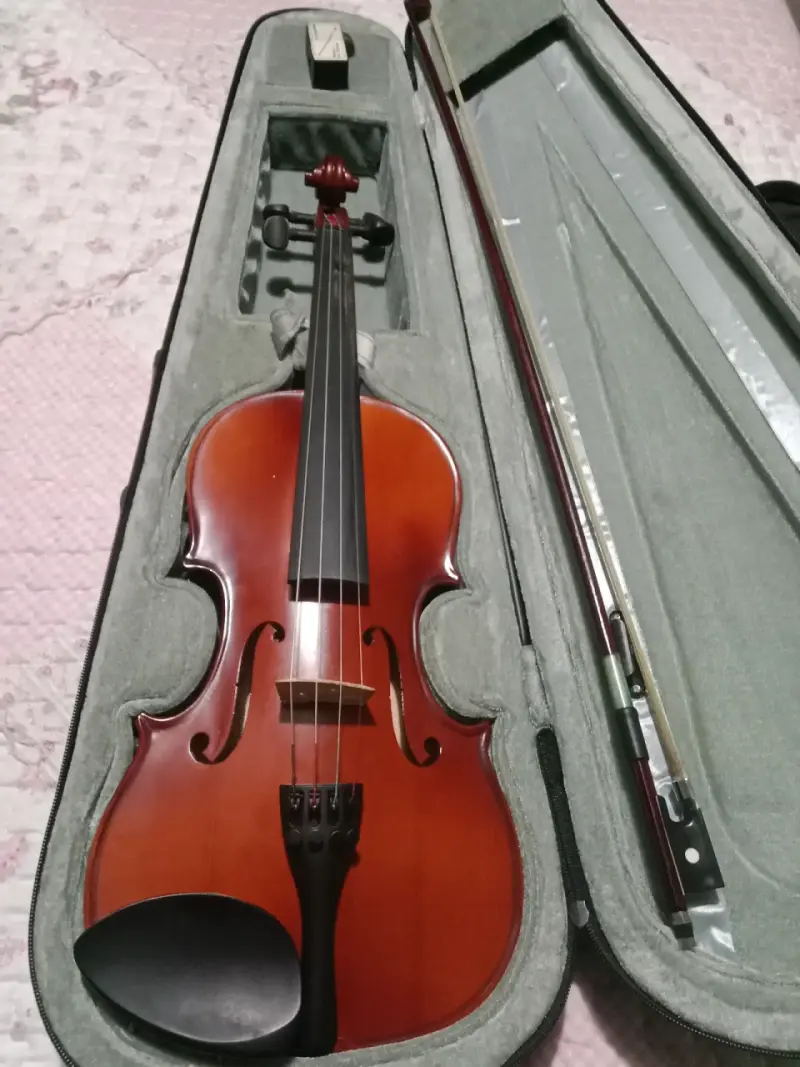 Violín GEWA PURE 4/4 - 2