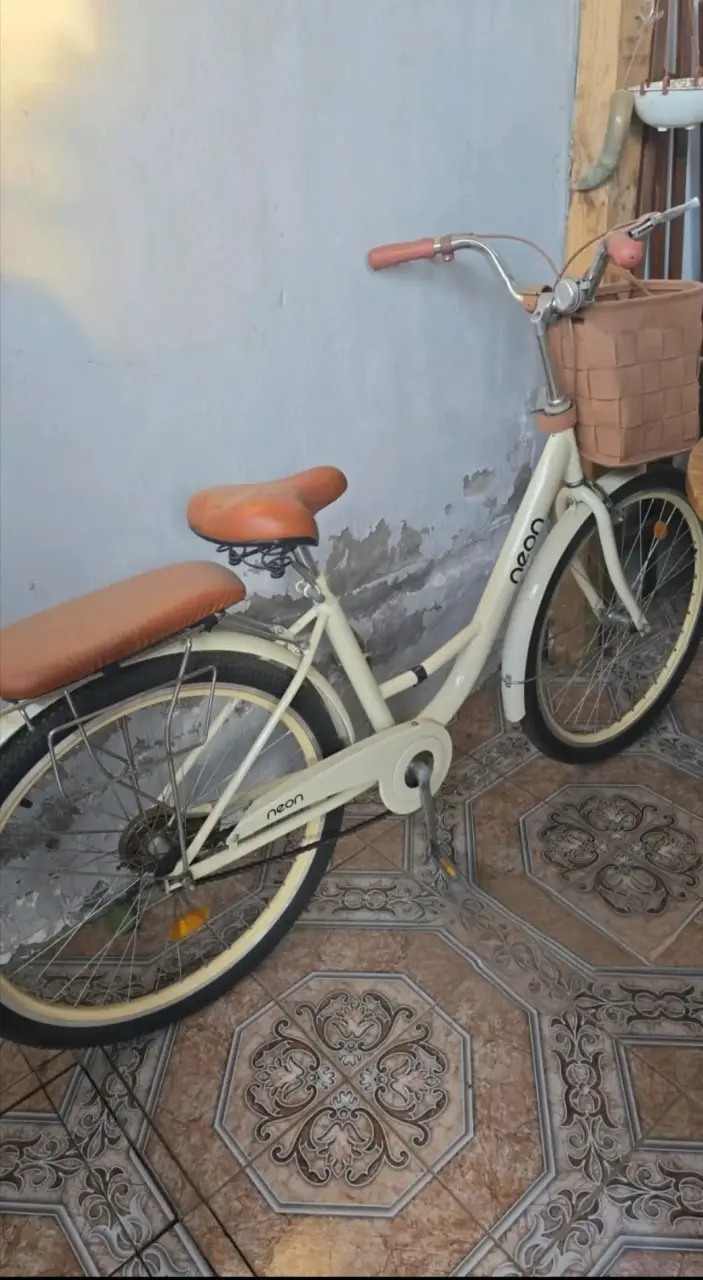 Bicicleta urbana vintage con canasto