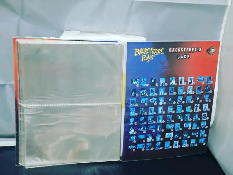 Álbum de fotos oficial Backstreet Boys Salo - 4