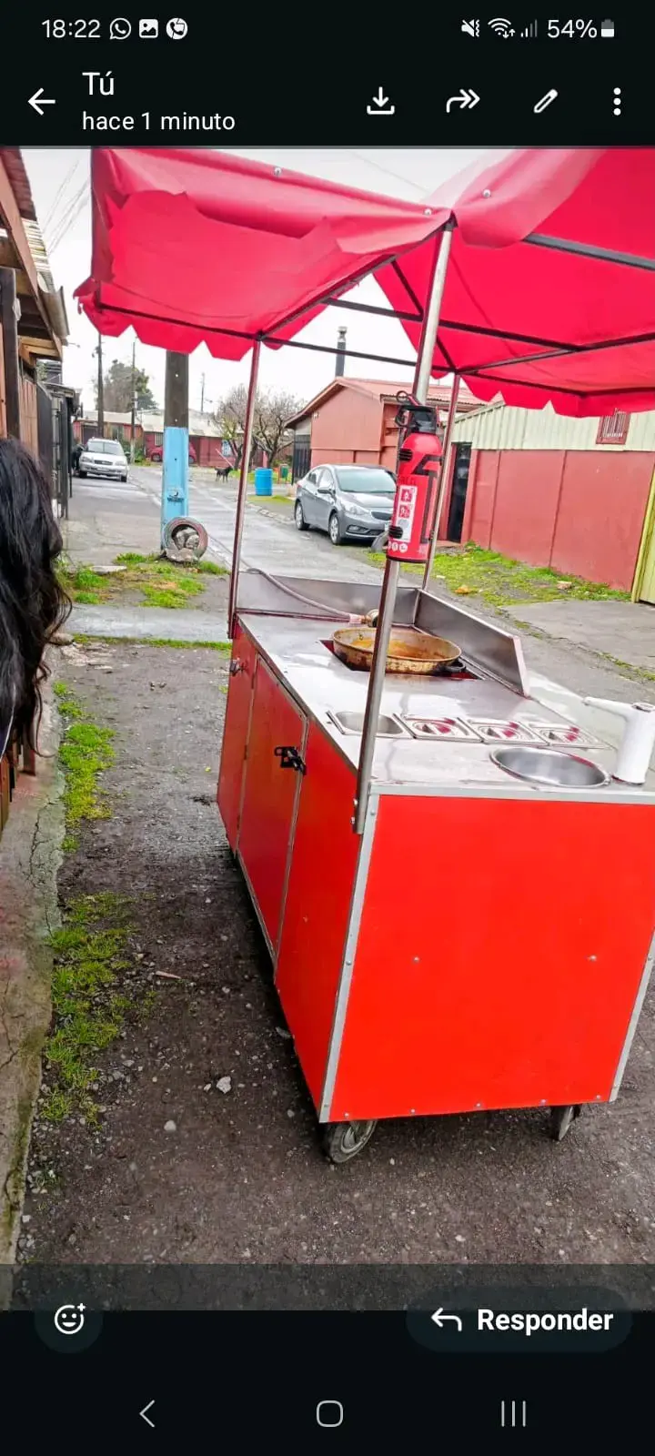 Carro de Comida Rápida con Techo Rojo