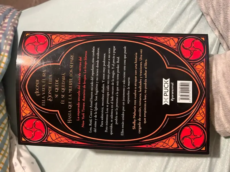 Libro Asesino de Brujas: Los Hijos del Rey - 2