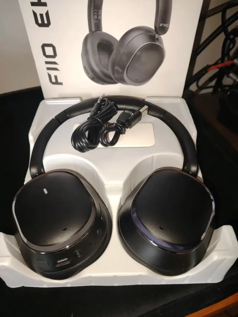 Auriculares inalámbricos FiiO EH13 negros - 2