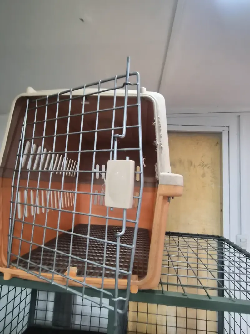 Jaula de Transporte para Mascotas Metálica - 1