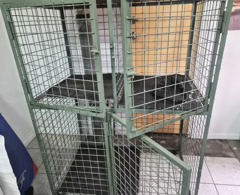 Jaula de Transporte para Mascotas Metálica - 3