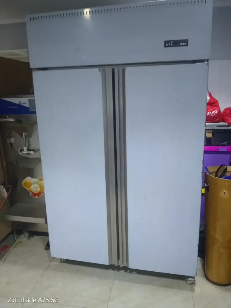Refrigerador industrial de doble puerta SF-205 - 1