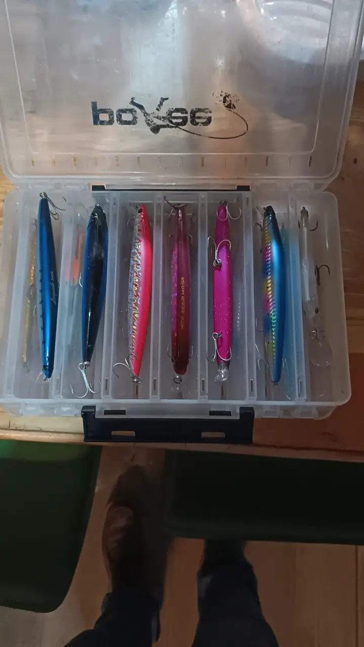 Kit de pesca con señuelos y anzuelos variados - 6