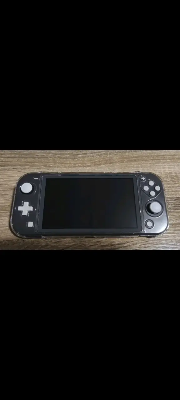 Nintendo Switch Lite gris - 2