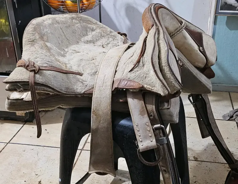 Montura de caballo de cuero y lana en buen estado - 1